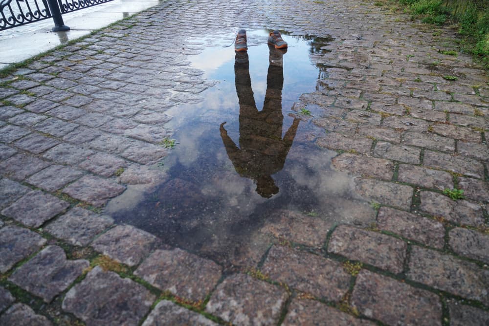 Reflect on Your Day