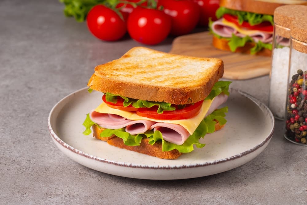 Turkey Slices