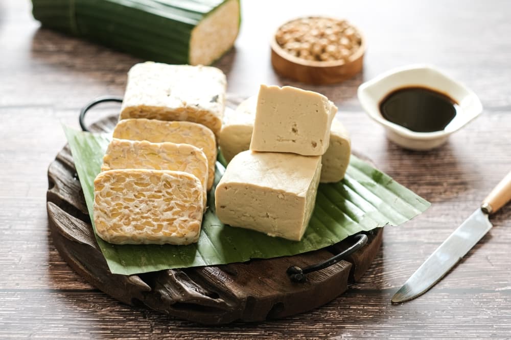 Tofu and Tempeh