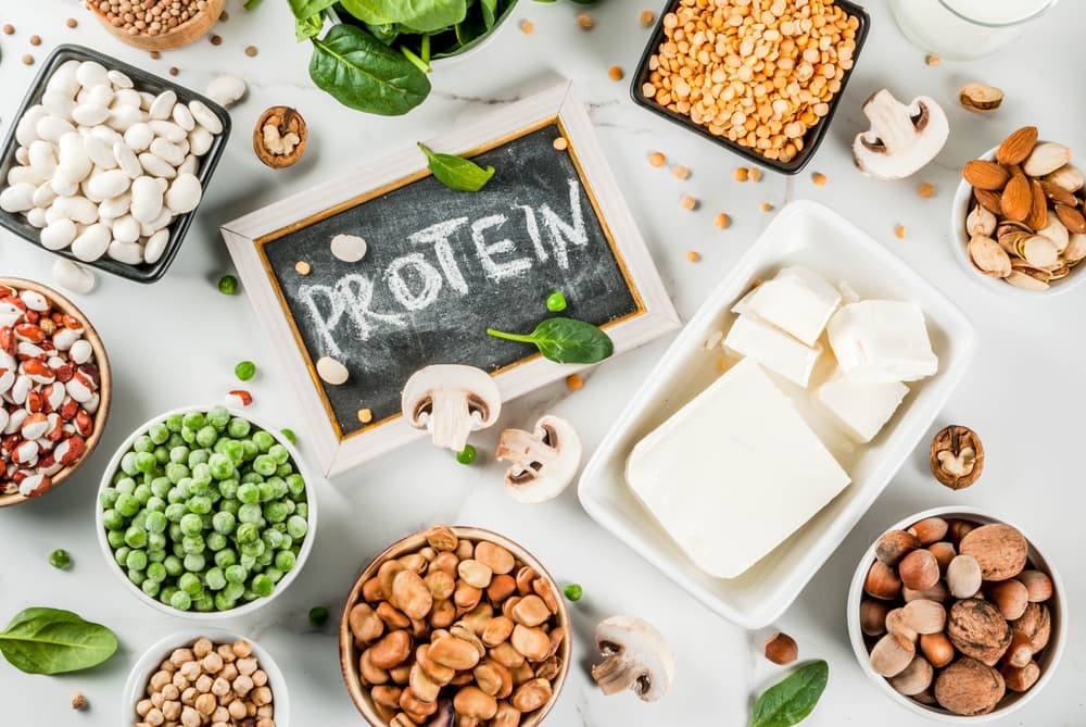 protein sources
