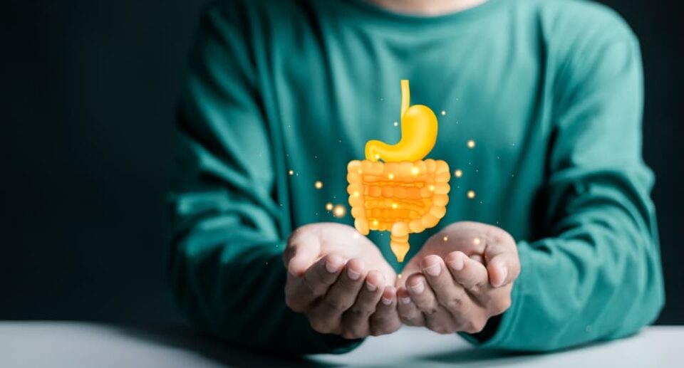 leaky gut with a healthy diet