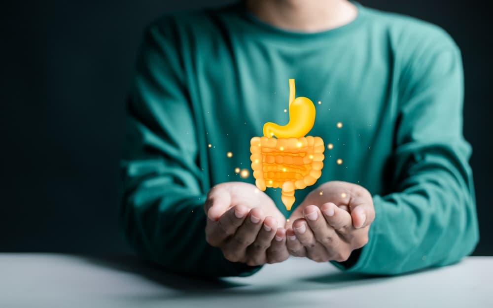 How to fix leaky gut with a healthy diet