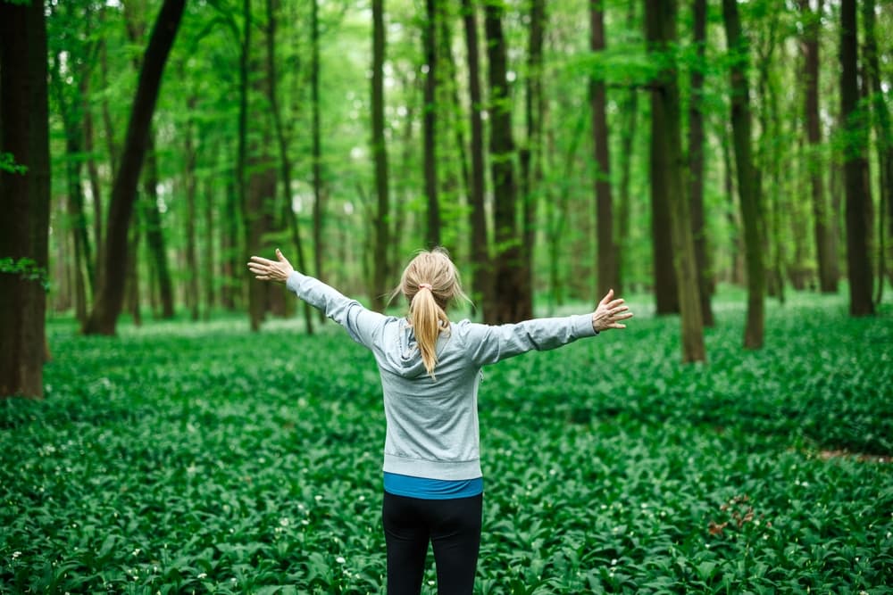 Deepen the Walking Experience
