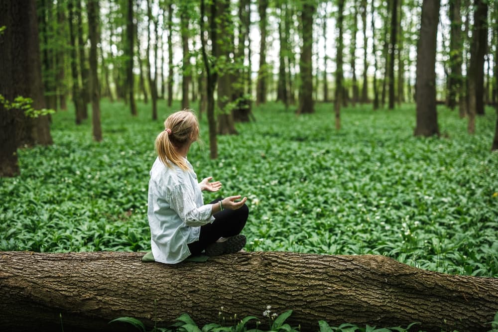 forest bathing