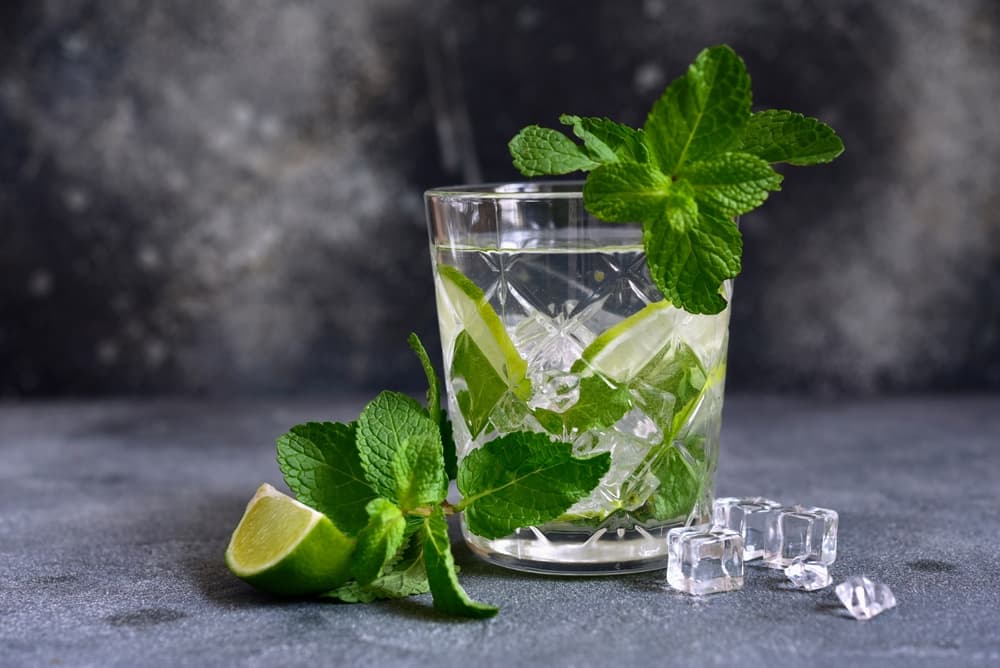 making Infused Water