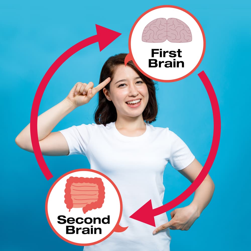 The connection between mental health and gut health