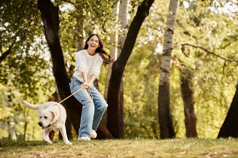 The connection between nature walks and improved mental health