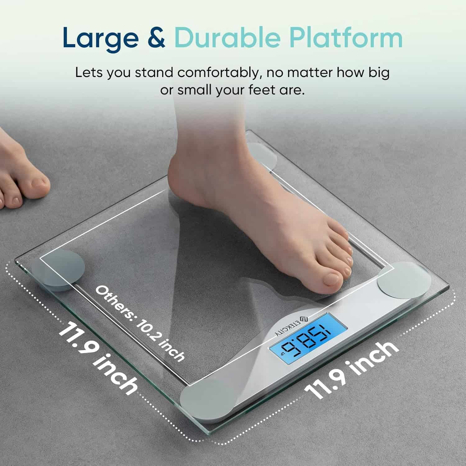 Digital Body Weight Scale