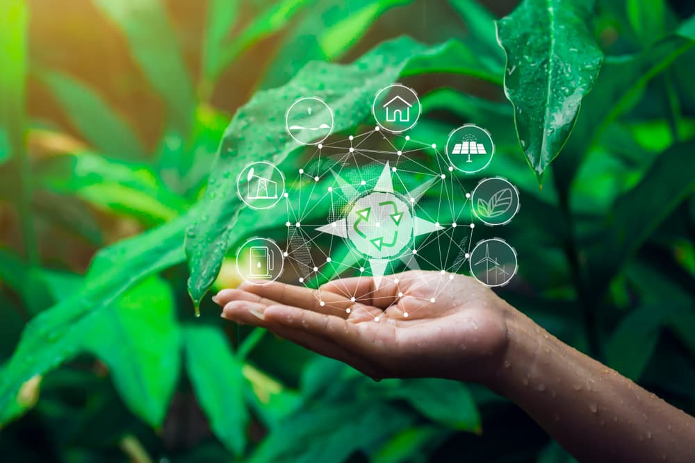 The Long-Term Tech-Life Balance Plan: Sustainable Habits for a Healthier Digital Life